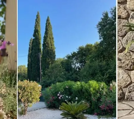 فيلة Kalokairi *